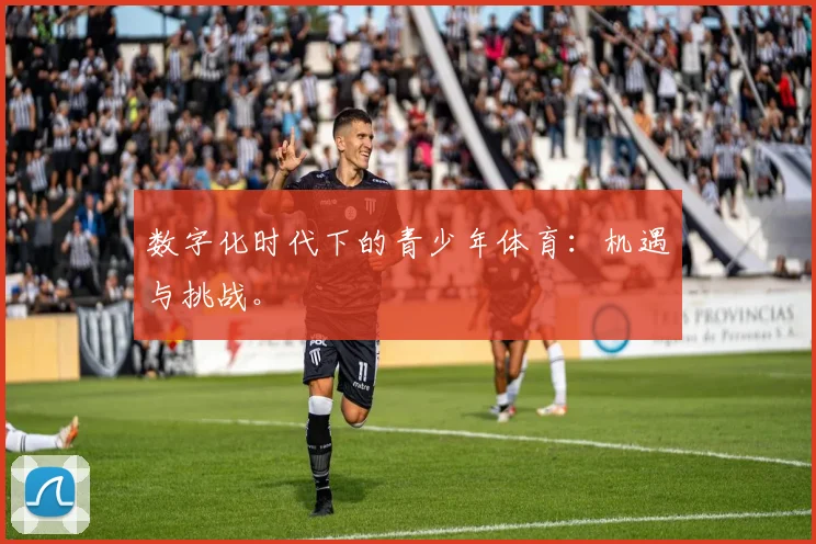 数字化时代下的青少年体育：机遇与挑战。
